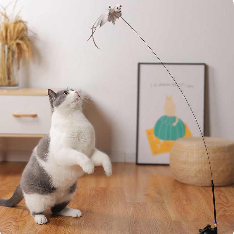 Stahldraht-Feder Lustiger Katzenstab Lange Stange