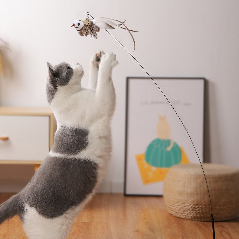 Stahldraht-Feder Lustiger Katzenstab Lange Stange